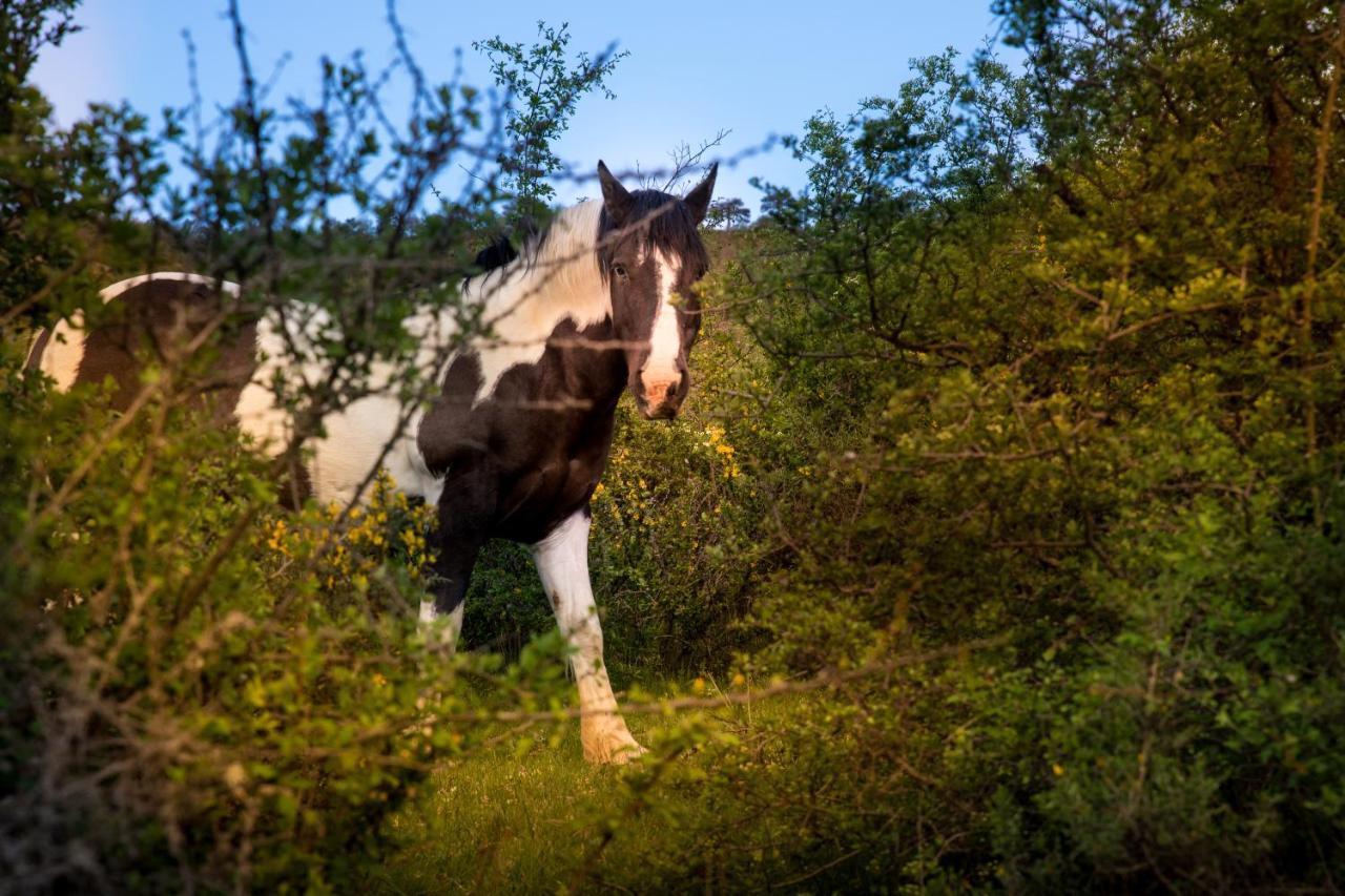 Hospedaje Rural Casa Parri Poveda de la Sierra エクステリア 写真