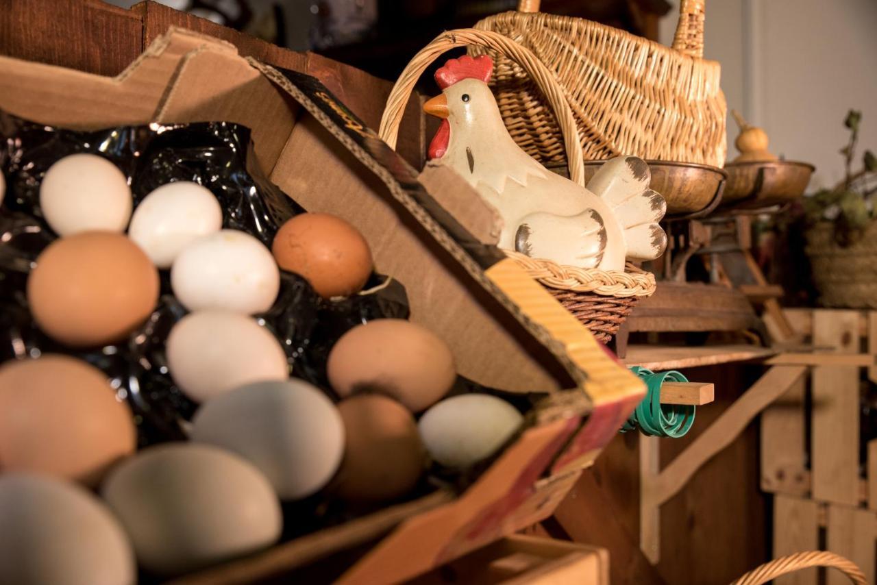Hospedaje Rural Casa Parri Poveda de la Sierra エクステリア 写真