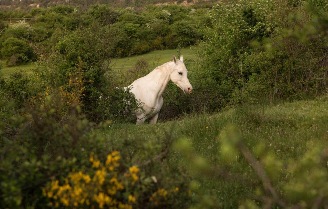 Hospedaje Rural Casa Parri Poveda de la Sierra エクステリア 写真