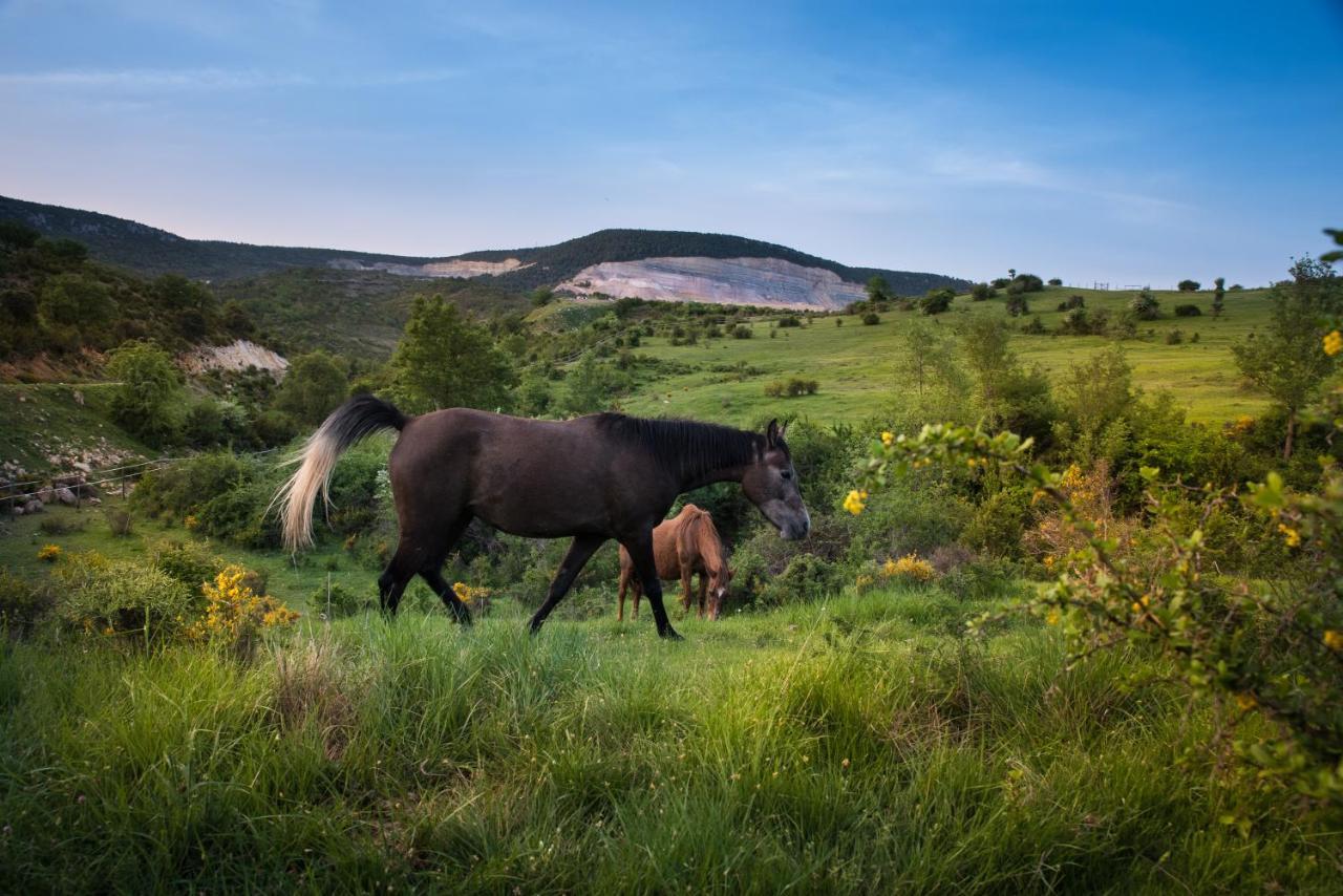 Hospedaje Rural Casa Parri Poveda de la Sierra エクステリア 写真