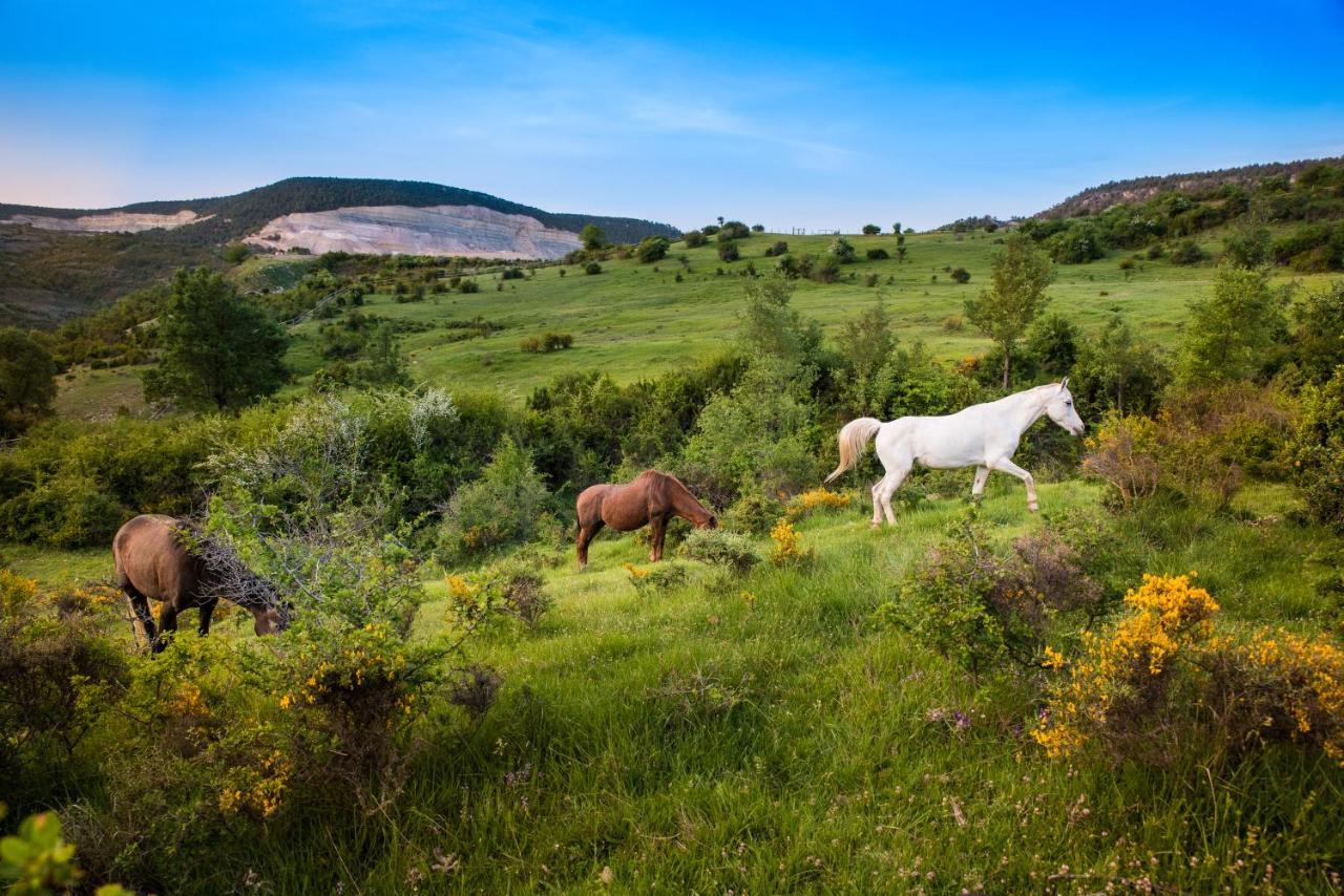 Hospedaje Rural Casa Parri Poveda de la Sierra エクステリア 写真