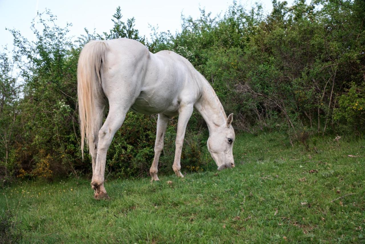 Hospedaje Rural Casa Parri Poveda de la Sierra エクステリア 写真