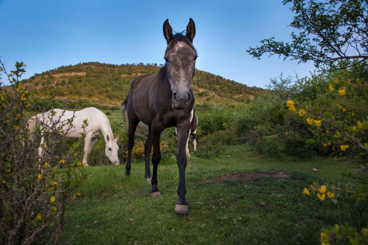Hospedaje Rural Casa Parri Poveda de la Sierra エクステリア 写真